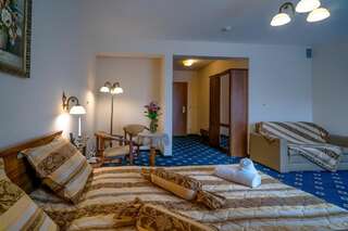 Отель Hotel Liptakówka Бялка-Татшаньска Двухместный номер Делюкс с 1 кроватью или 2 отдельными кроватями-4